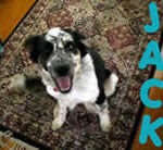 Jack