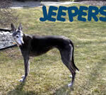 Jeepers