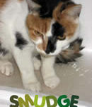 Smudge