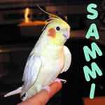 Sammi
