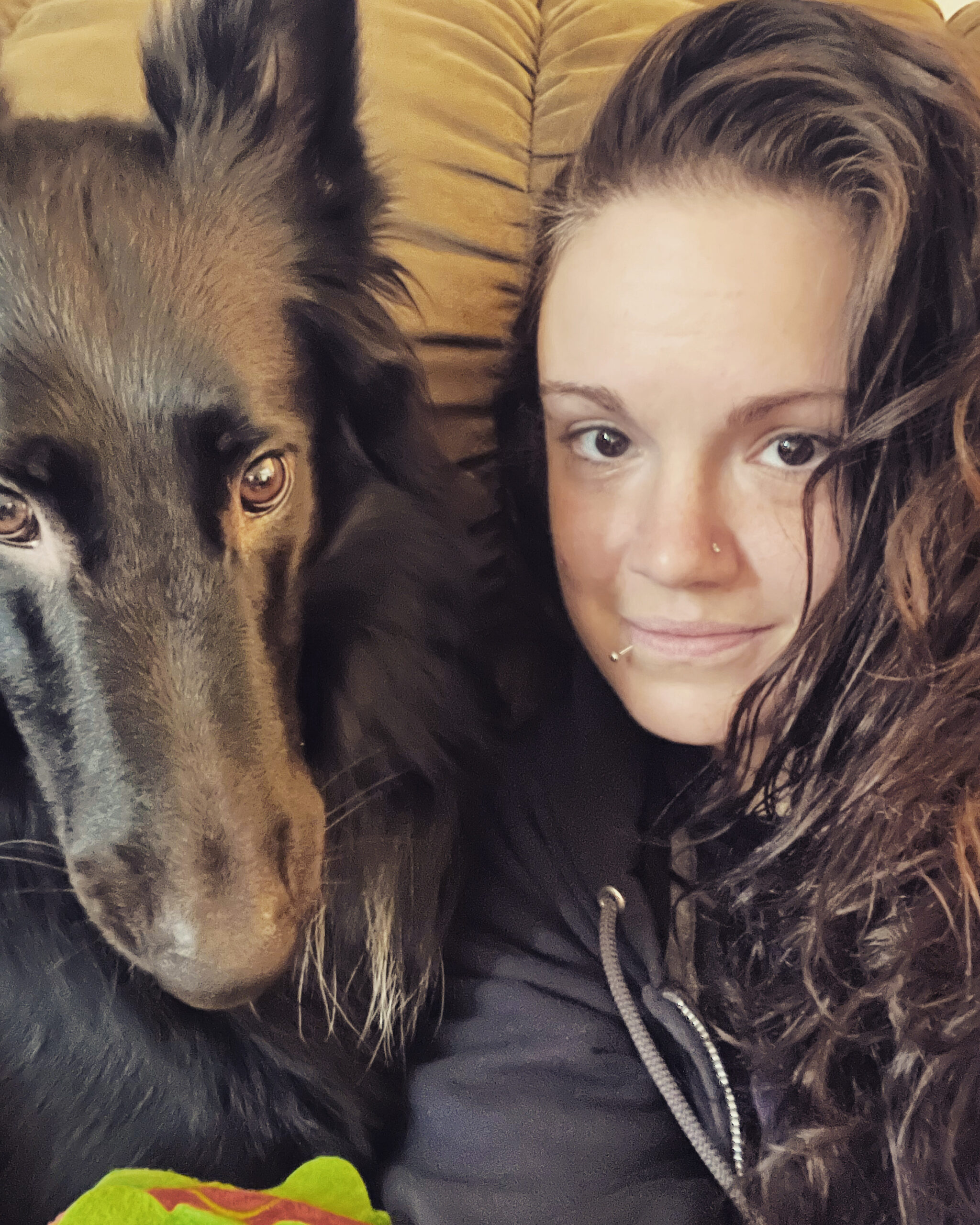 Brielle Pet Sitter